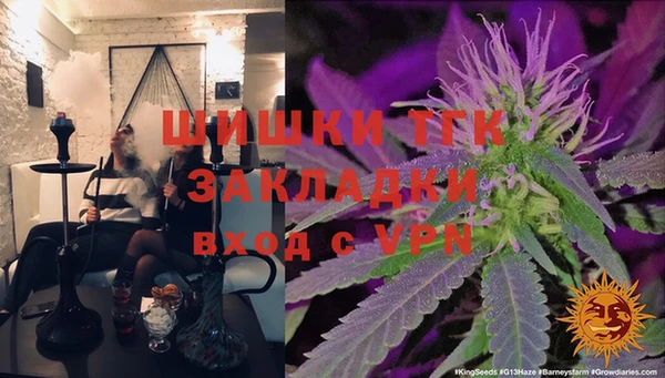 сатива Баксан