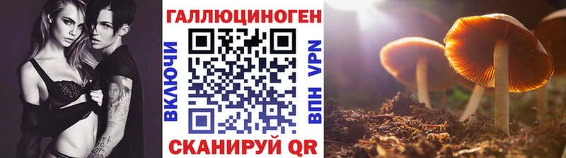 Галлюциногенные грибы ЛСД  shop телеграм  Сокол  где купить  