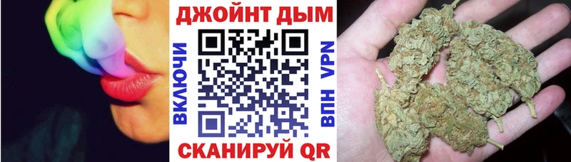 OMG маркетплейс  цена наркотик  Сокол  Канабис сатива 